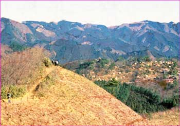 伊豆ヶ岳の尾根道