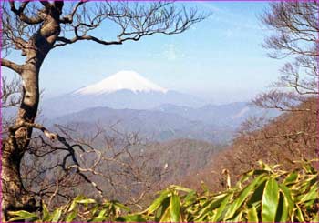 大室山から富士山