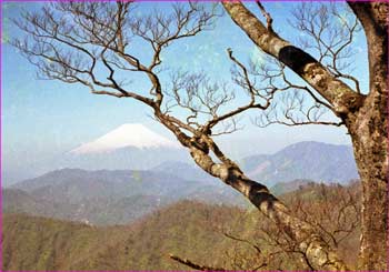 富士山