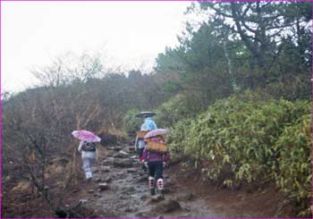 雨の登行