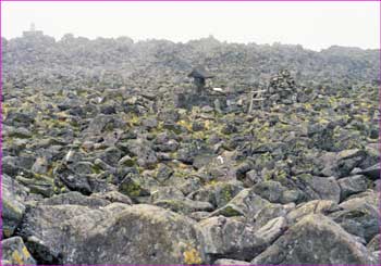 蓼科山広々山頂