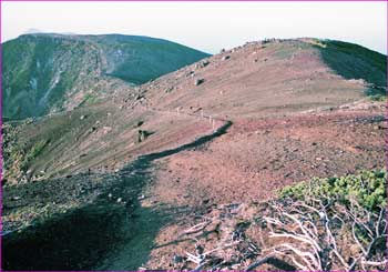 箕冠山辺り