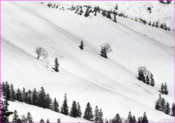 駒ヶ岳雪渓