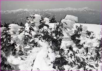 駒ヶ岳山頂雪明け