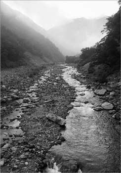 野呂川上流