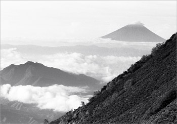 富士山展望