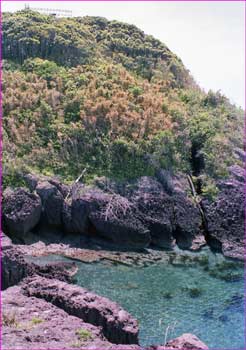 田舎の海岸