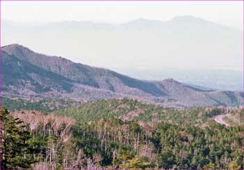 浅間山霞む