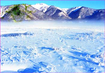 雪明けの尾瀬ヶ原