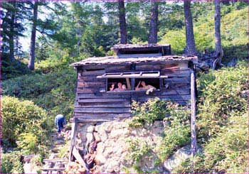 高天原温泉小屋