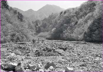 用木沢広河原