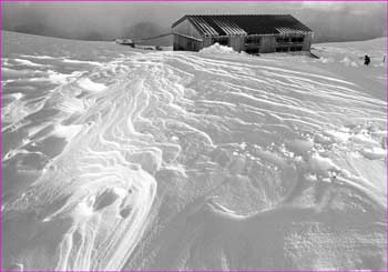 雪明けの景