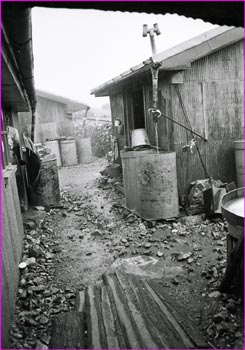 農鳥小屋雨が