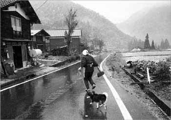 山村雨模様