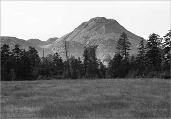 日光白根山