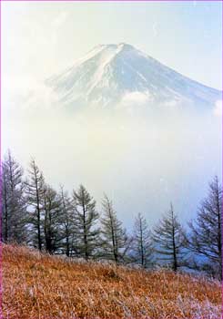 富士山