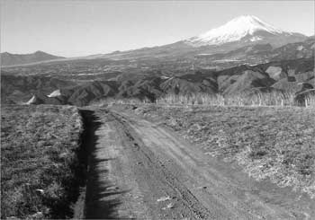 大野山へ