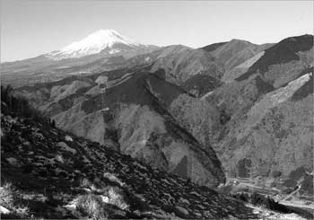 富士山