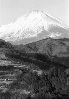 富士山