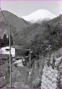 玄倉から富士山