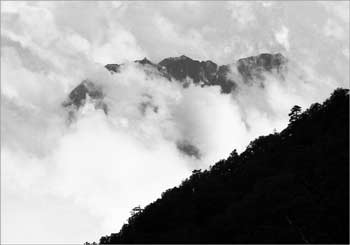 鳳凰山雲の中