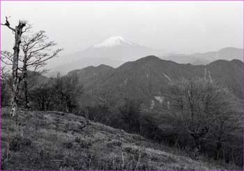 富士山見ゆ