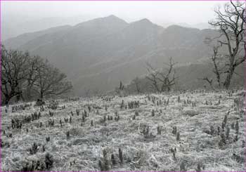 山頂広場で