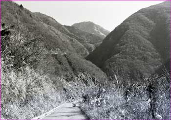 林道を登山口へ