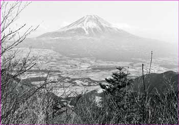 富士山展望