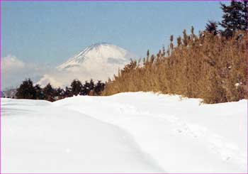 富士山