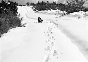 雪尾根