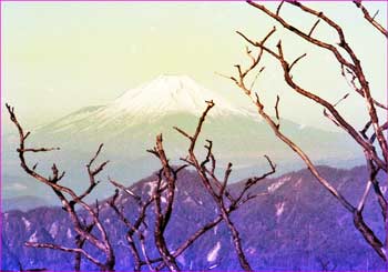 富士山