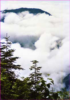 雲表の茶臼岳へ