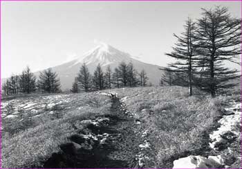 富士山