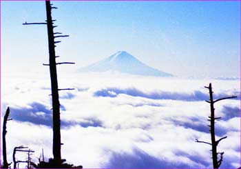 富士山展望