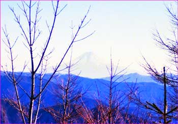 富士山遠望