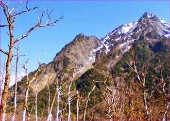 途中から明神岳