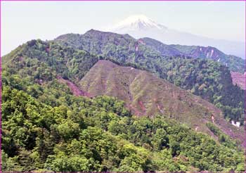 富士山