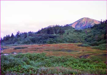 高谷池から火打山