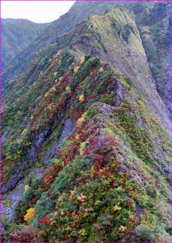 八海山への稜線