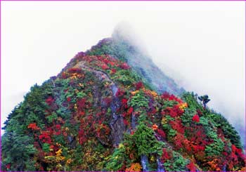 八海山雨に煙る