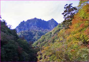 西沢渓谷から鶏冠山