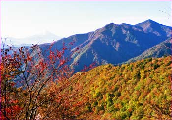 富士山展望