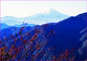 富士山展望