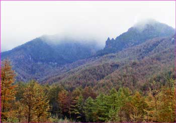 雨に煙る山