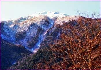 仙丈ヶ岳望む