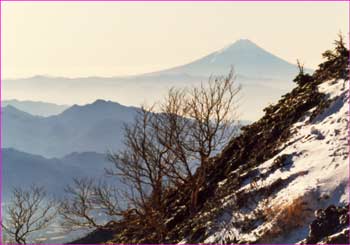 富士山