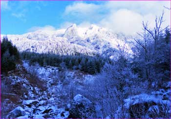 雪明けの北沢