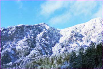 雪明けの尾根