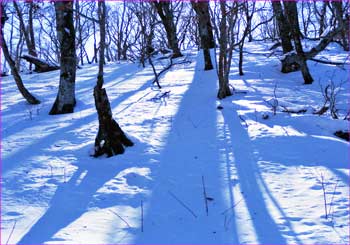 新雪の尾根